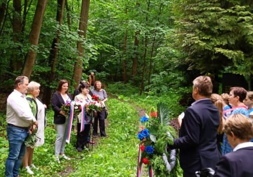 a9c5b6e2-0301-4004-bc2f-807b02ed03f0