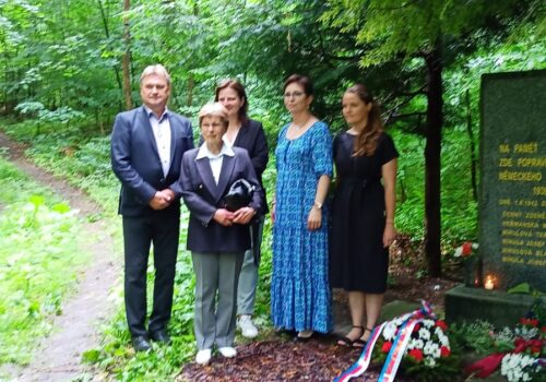 f9313361-45a0-42d5-9800-95e6c57e3eed